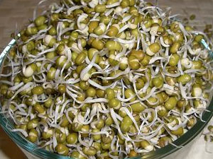 Sprouted Moong dal Salad 